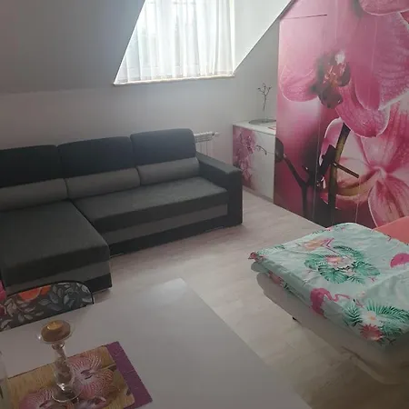 Πανσιόν Dom Goscinny Vollare Darłowo